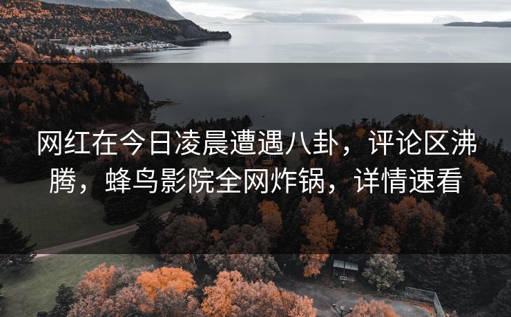 网红在今日凌晨遭遇八卦,评论区沸腾,蜂鸟影院全网炸锅,详情速看 网红在今日凌晨遭遇八卦,评论区沸腾,蜂鸟影院全网炸锅,详情速看