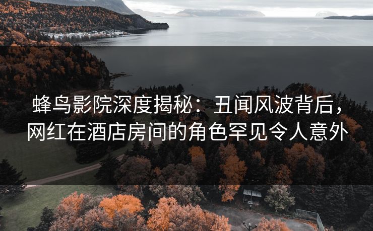 蜂鸟影院深度揭秘：丑闻风波背后，网红在酒店房间的角色罕见令人意外