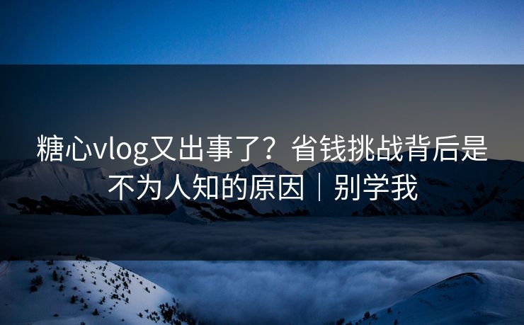 糖心vlog又出事了？省钱挑战背后是不为人知的原因｜别学我