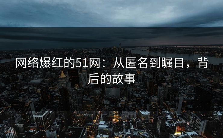 网络爆红的51网:从匿名到瞩目,背后的故事 网络爆红的51网:从匿名到瞩目,背后的故事